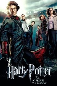 Harry Potter 4 y el cáliz de fuego [OPEN MATTE · x265]