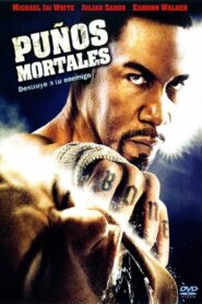 Puños mortales [VIP]
