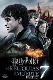 Harry Potter 7 y las reliquias de la muerte: Parte 2 [OPEN MATTE · x265]