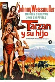 El hijo de Tarzán [Coloreado con IA]