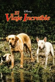 Un viaje increíble