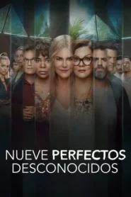 Nueve perfectos desconocidos · Temporada 1