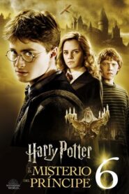 Harry Potter 6 y el misterio del príncipe [OPEN MATTE · x265]