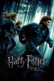 Harry Potter 7 y las Reliquias de la Muerte – Parte 1 [OPEN MATTE · x265]