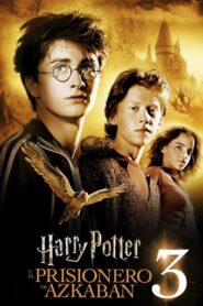 Harry Potter 3 y el prisionero de Azkaban [OPEN MATTE · x265]