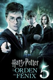 Harry Potter 5 y la orden del Fénix [OPEN MATTE · x265]