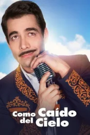 Como Caído del Cielo