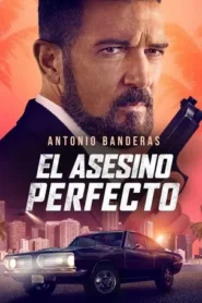 El asesino perfecto