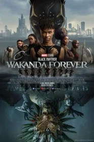 Pantera Negra: Wakanda por siempre · IMAX
