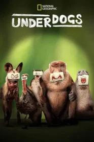 Underdogs · Temporada 1
