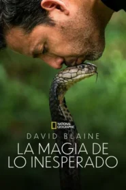 David Blaine La magia de lo inesperado · Temporada 1
