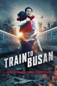 Estación Zombie: Tren a Busan · 60FPS [LIGERO x265]