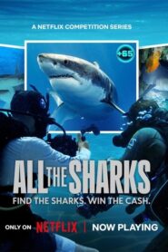 Todos los tiburones · Temporada 1